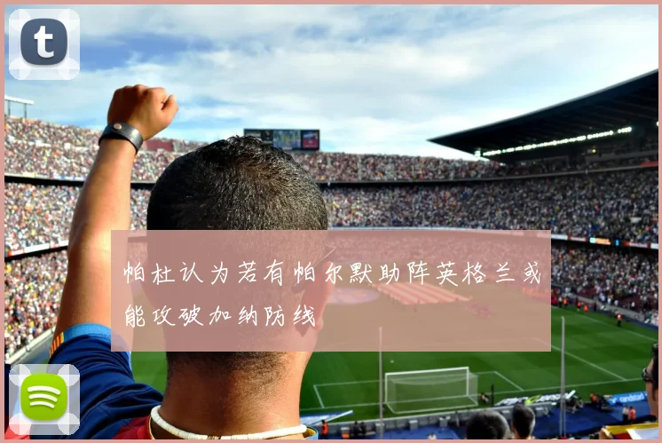 帕杜认为若有帕尔默助阵英格兰或能攻破加纳防线